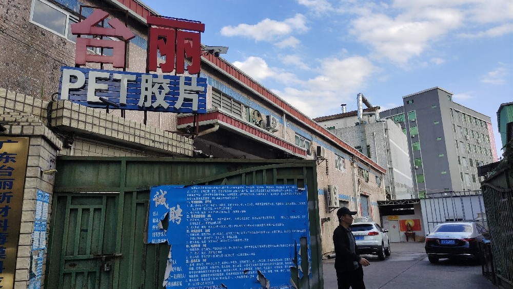 台丽新材料PET胶片 PET卷材，片材，板材